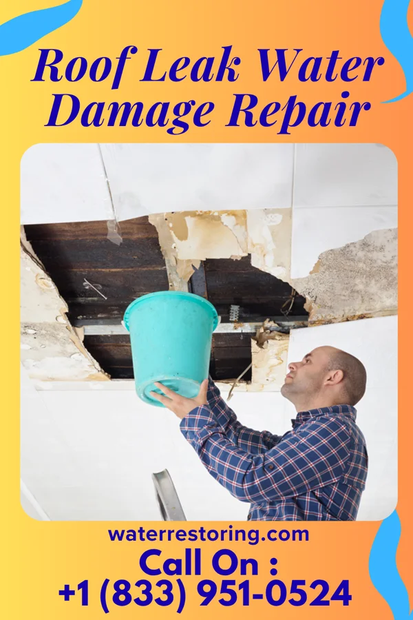 Roof Leak Water Damage Repair in Wilmore, KS