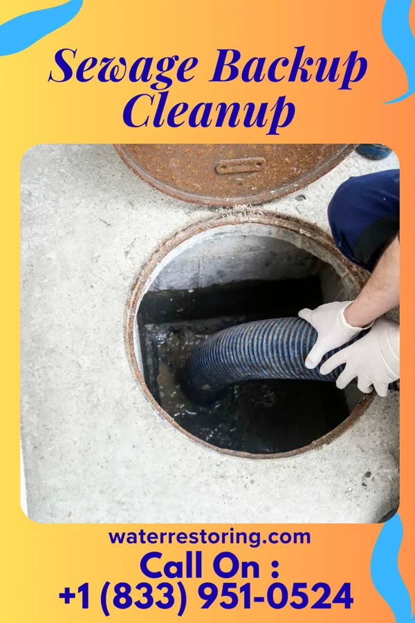 Sewage Backup Cleanup in Wilmore, KS