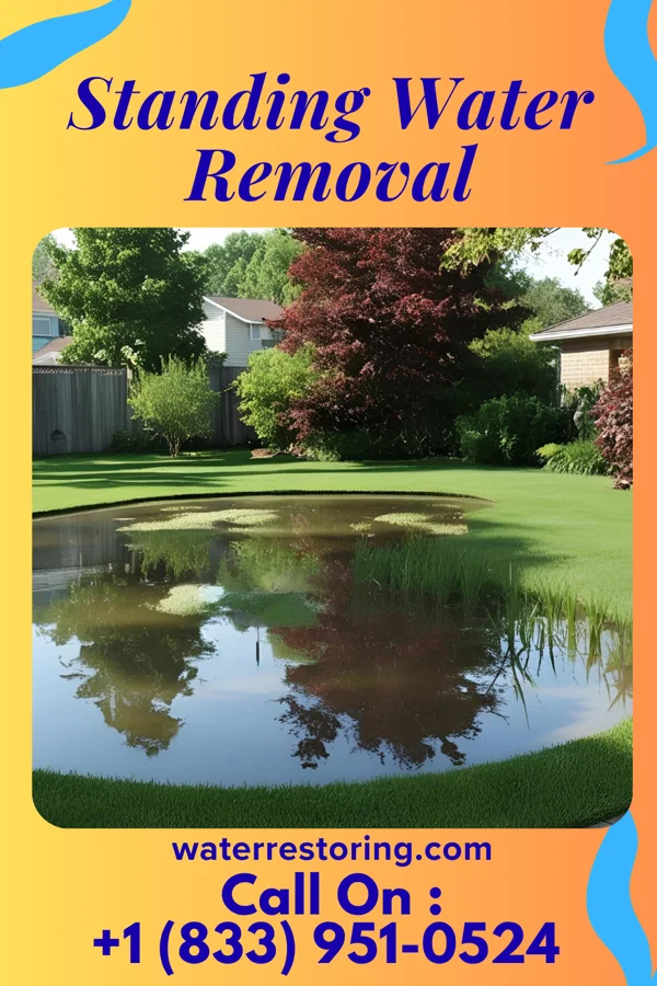 Standing Water Removal in Wilmore, KS